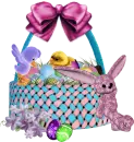 bunny 
