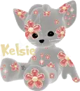 kitty with heats