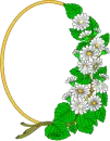 Frame Daisy