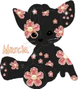 kitty with flowers
