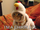 im a chicken!