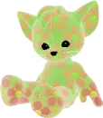 rainbow kitty