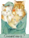Cats