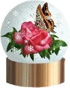 Butterfly And Rose