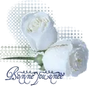 White Roses
