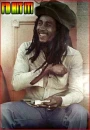 Bob Marley would hit it
