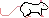 Albino Rat