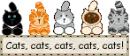 cats...