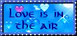love is in the air
