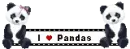 i love pandas