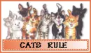 cats rule