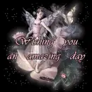 amazing day