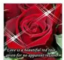 Love Is