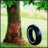 Tire Swing