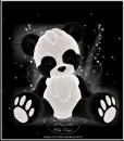 Panda Bear