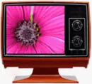 TV RANDOM