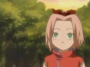 sakura kid