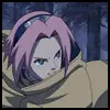 sakura