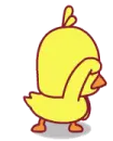 easter chicky