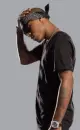 bow wow