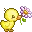 duck & daisy