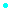 bullet button