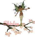 shirley
