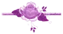 Purple Flower