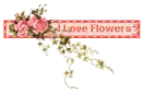 I Love Flowers
