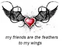My friends are the feathers to my wings