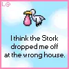 stork baby wrong