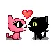 kitty love