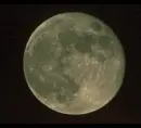 witches and moon