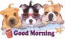 good morning