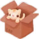 cat in a box