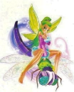 fairy on dragonfly