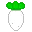 Turnip