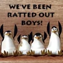 Penguins