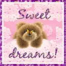 sweet dreams