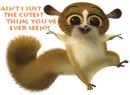 Cutest Thing