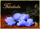 felicidades