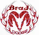 Brad