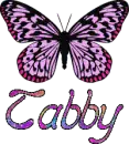 Tabby - Butterfly