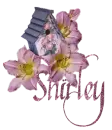 Shirley