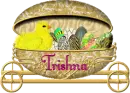 Trishna