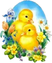 Easter chicks