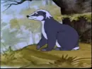 Badger