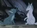 Blue fox cubs