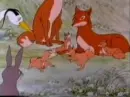 Vixen with her cubs