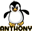 Anthony - Penguin